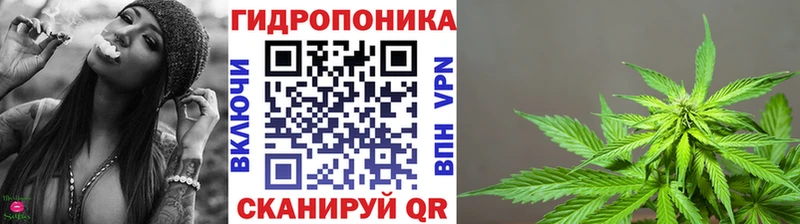 А ПВП Ртищево